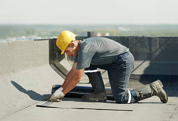 Best Specialized Insulation Services in Hiawatha, KS